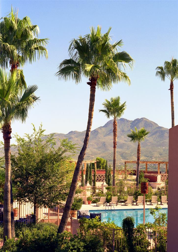 Esplendor Resort At Rio Rico Удобства фото