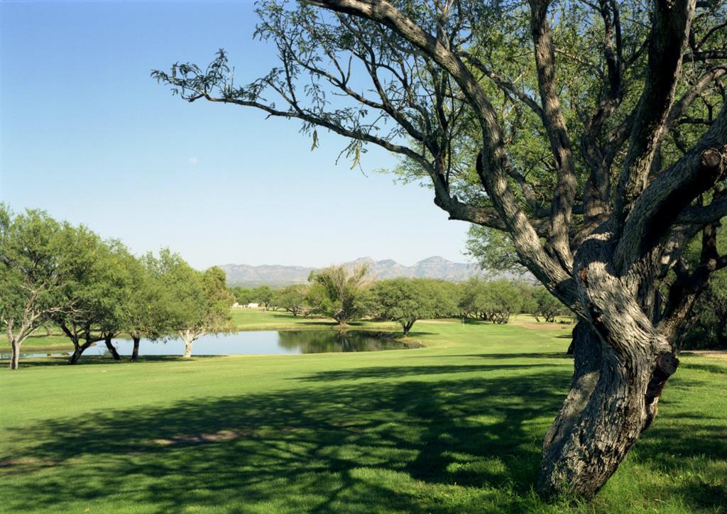 Esplendor Resort At Rio Rico Удобства фото